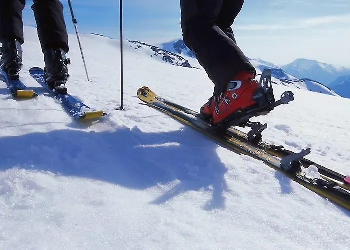 Alexandra Hotell Loen